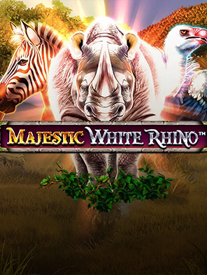 Majestic White Rhino