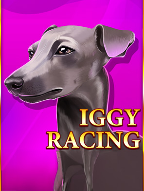 Iggy Racing